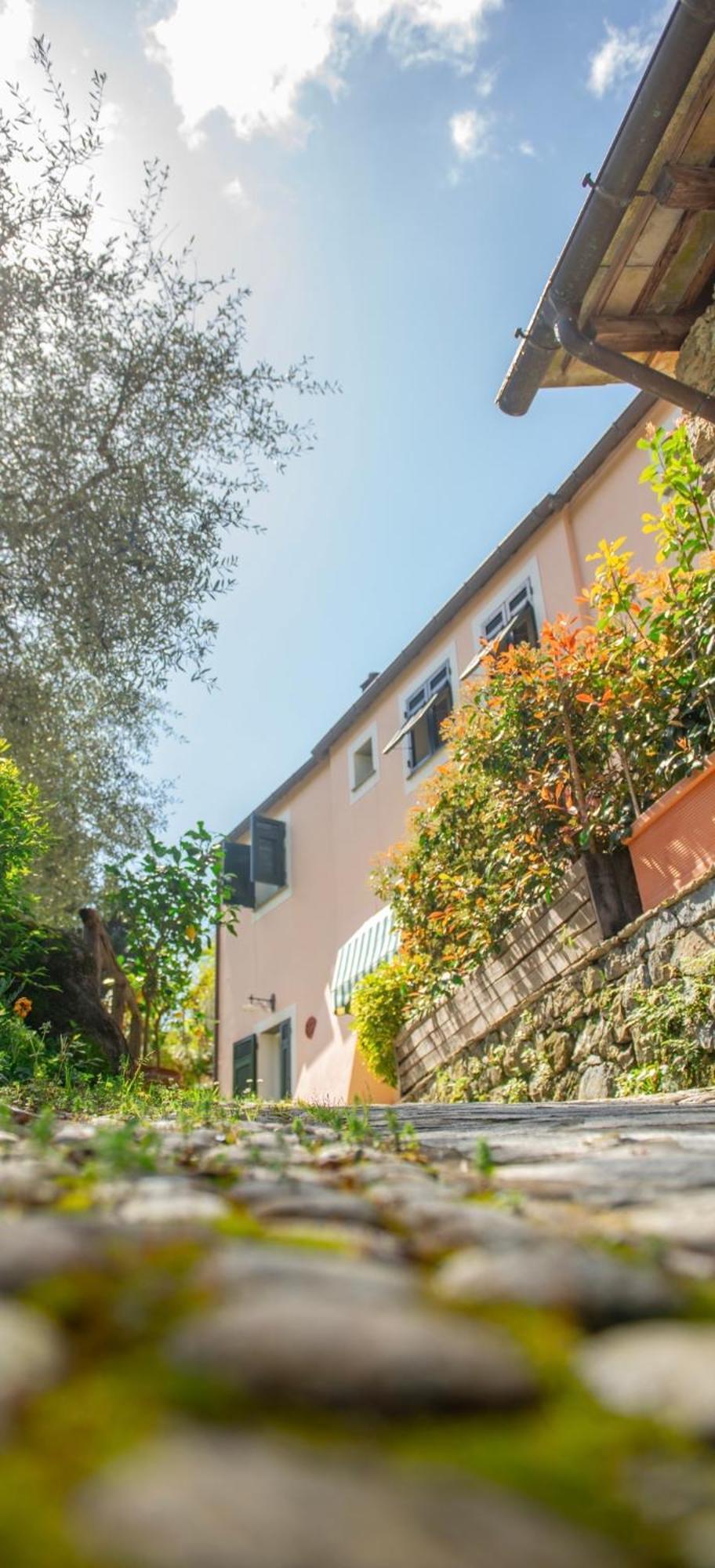 Agriturismo Villa Caterina Levanto Exterior photo