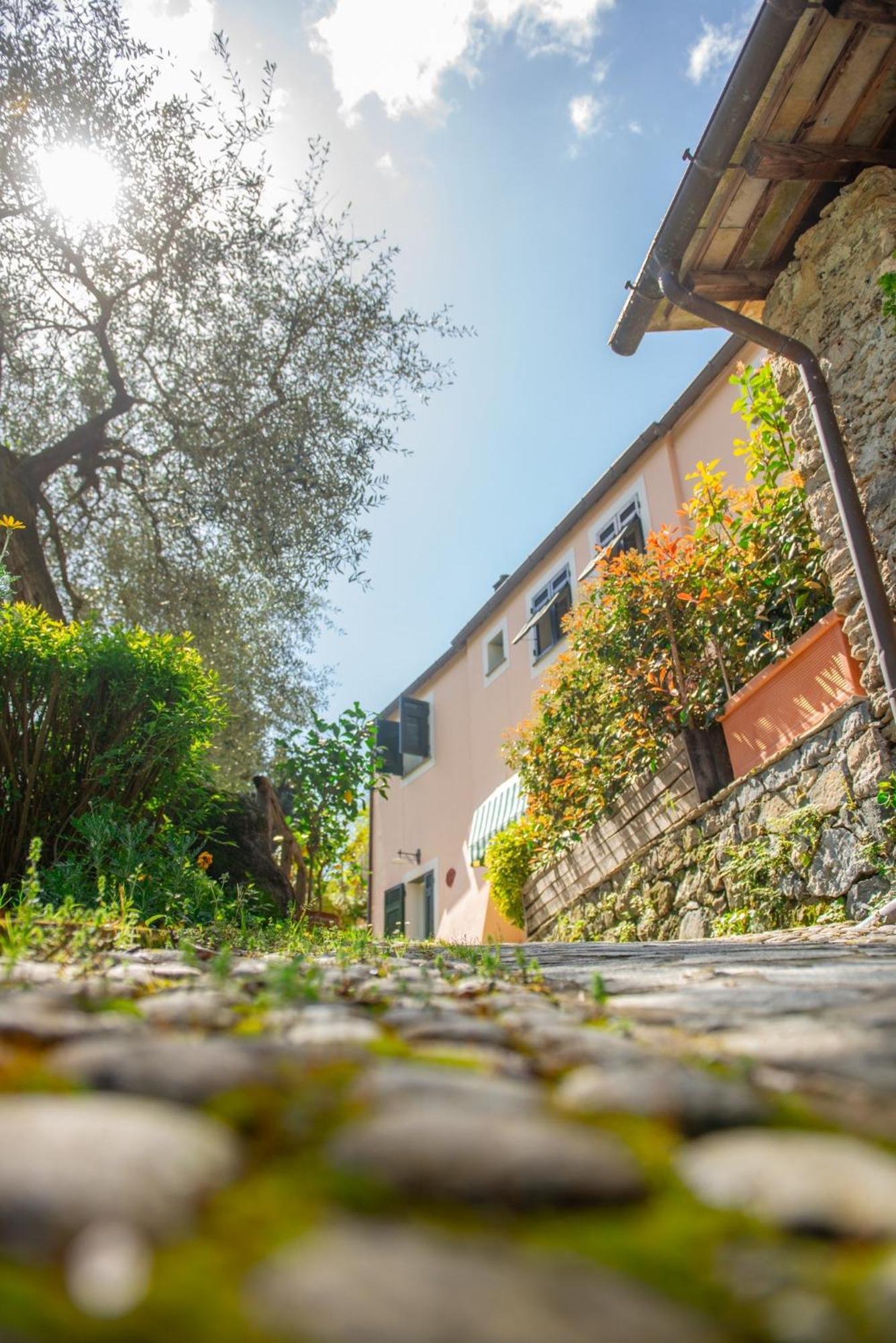 Agriturismo Villa Caterina Levanto Exterior photo
