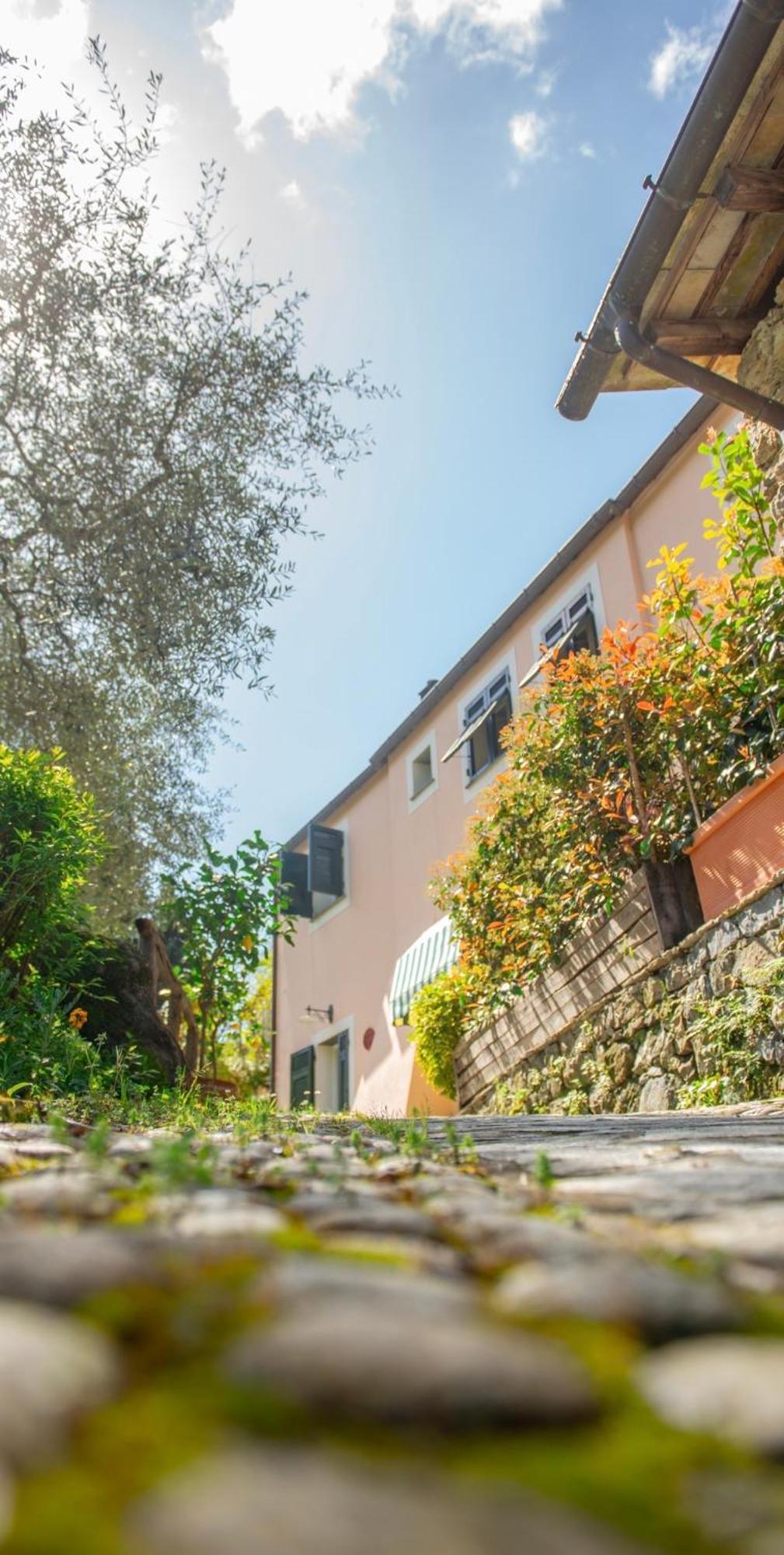 Agriturismo Villa Caterina Levanto Exterior photo