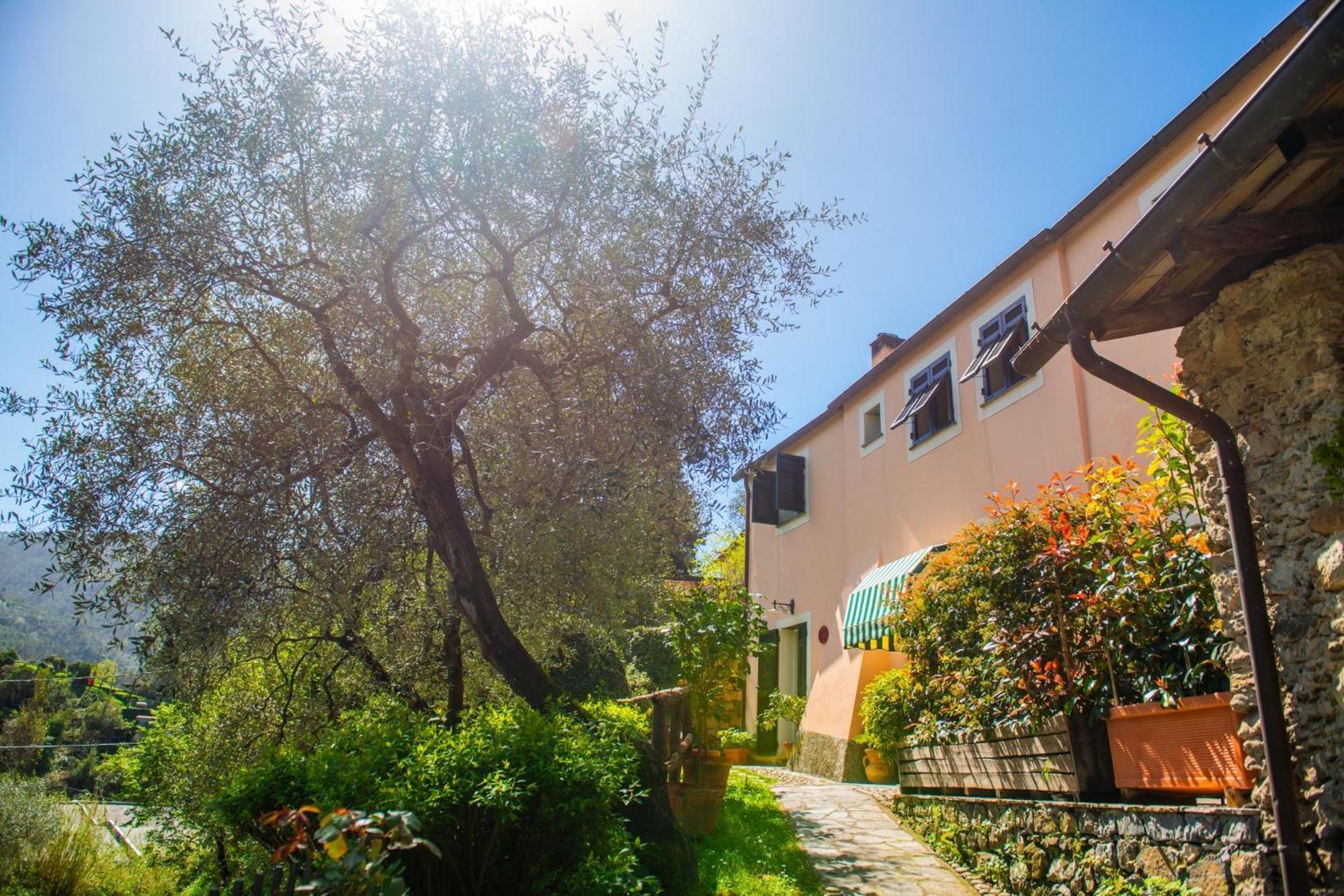 Agriturismo Villa Caterina Levanto Exterior photo